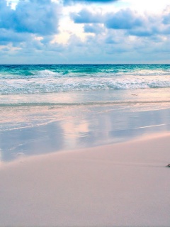 Тропический берег обои