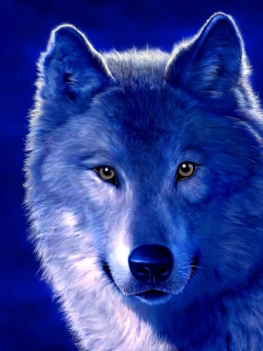 Рисунок волка обои