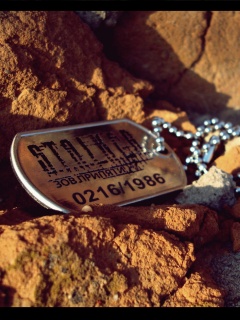 Жетон Сталкер обои