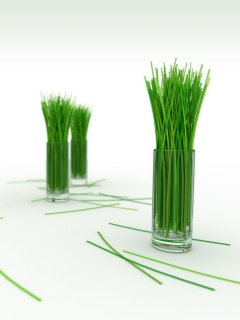 Трава в стакане обои