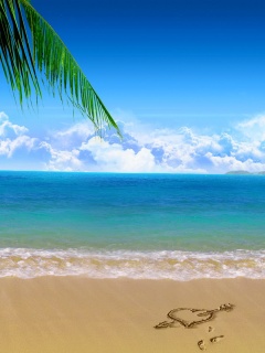 Любовь на океанском берегу обои