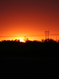 Закат за лесом обои