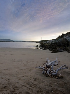 Коряга не берегу обои