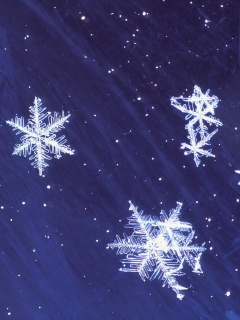 Снежинки обои