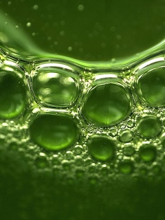 Зеленые пузыри обои