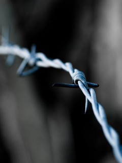 Колючая проволока обои