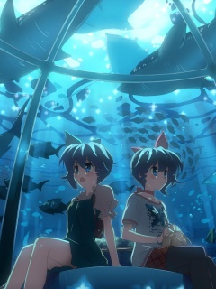 В океанариуме обои