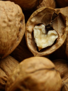 Расколотый орех обои