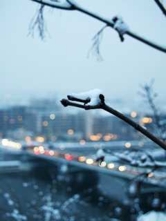 Зима в городе обои