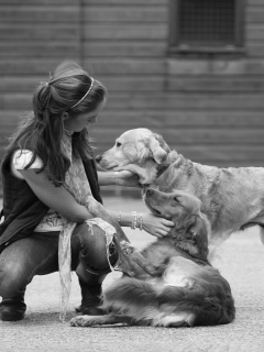 Девушка с собаками обои