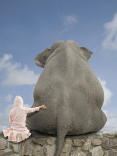 Девочка и слон обои