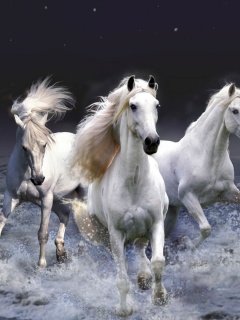 Тройка конец в море обои