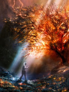 Горящее дерево обои