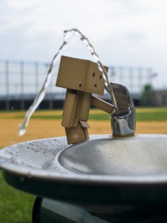 Дандо пьет в воду из фонтанчика обои