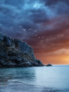 Чайки над скалами обои