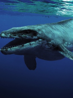 Морской динозавр обои