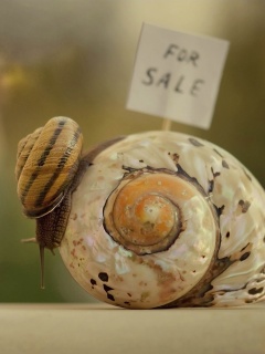 Улитка приматрвиает новый дом обои