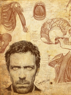 Анатомические рисунки доктора Хауса обои