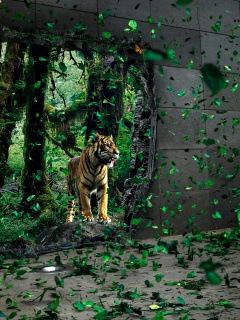 Портал в джунги обои
