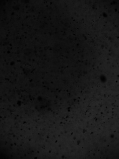 Черные пятна на сером фоне обои