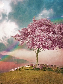 Одинокое цветущее дерево обои