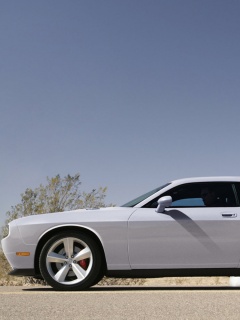 Стартующий Форд Мустанг обои