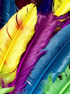 Разноцветные перья обои