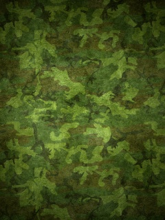 Маскировачная раскраска обои