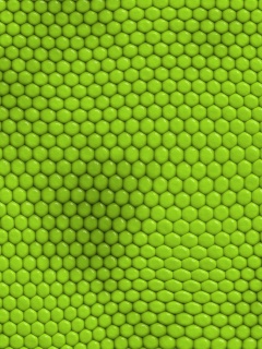 Зеленая сотообразная структура обои