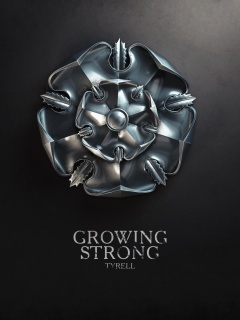 Металлический герб Тиреллов обои