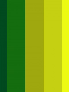 Кислотная палитра обои