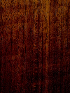 Темно-оранжевое дерево обои