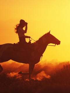 Наездница на закате обои