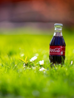 Кока-Кола на траве обои