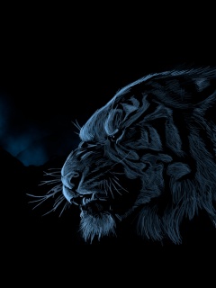 Рисунок грозного тигра обои