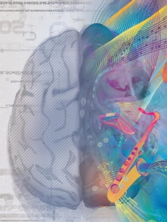 Левая и правая половина мозга обои