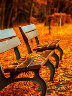 Лавочки в осеннем парке обои