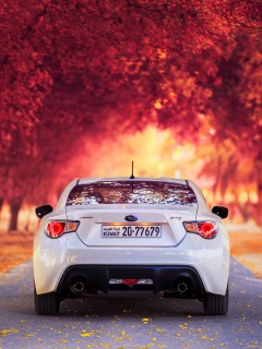 Субару на осенней дороге обои