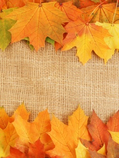 Желтые кленовые листья на холсте обои