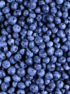 Черника обои