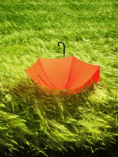Зонт на траве обои