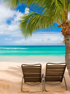 Шезлонги обои