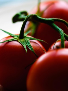 Аппетитные помидоры обои