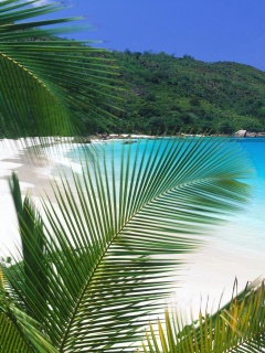 Лазурная лагуна обои