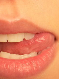 Сочные губки обои