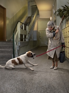 Непослушная собака обои