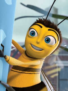 Бимуви обои