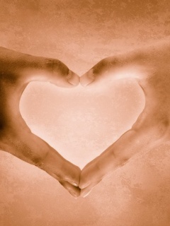 Сердце из сложенных рук обои