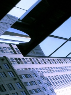 Взгляд вверх обои