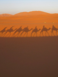 Караван обои